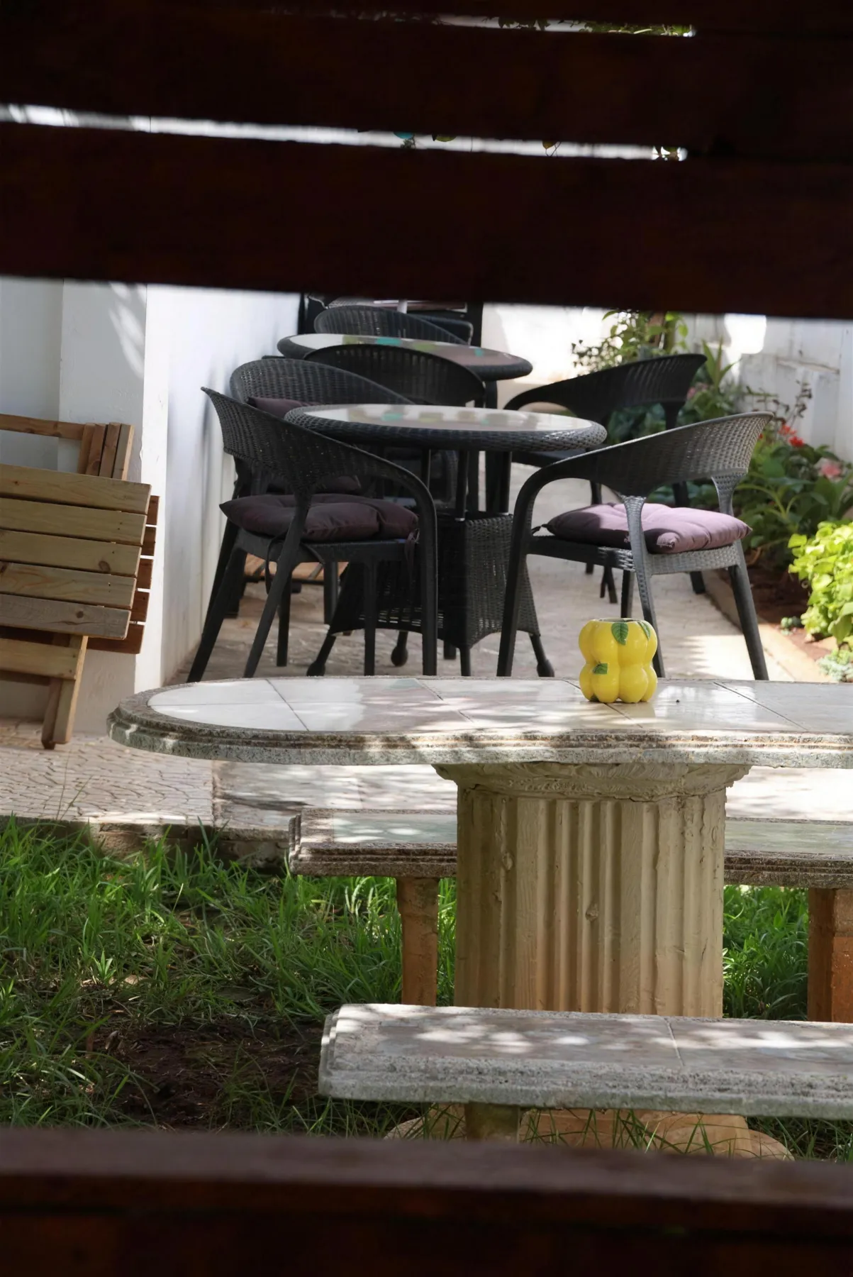A table under the trees